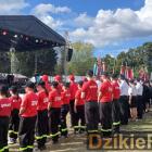 zdjęcie nr 148