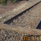 zdjęcie nr 8