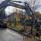 Fot: DzikieRadio®