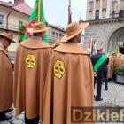 zdjęcie nr 232