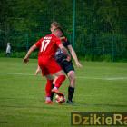 zdjęcie nr 18