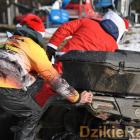 zdjęcie nr 100