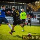 Fotka nr 1 z 11