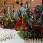 zdjęcie nr 111