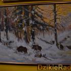 zdjęcie nr 75