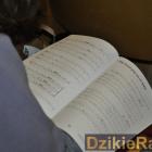 zdjęcie nr 14