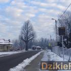 Fotka nr 1 z 3