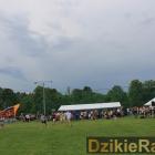 zdjęcie nr 182