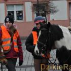 Fotka nr 2 z 168