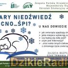 Fot.M8asto Zywiec