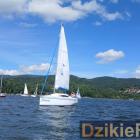 zdjęcie nr 132