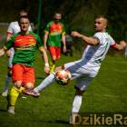 zdjęcie nr 8