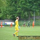 zdjęcie nr 171