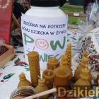 zdjęcie nr 26