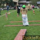 zdjęcie nr 172