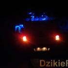 Fot. Dzikieradio