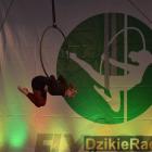 zdjęcie nr 42