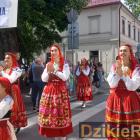 zdjęcie nr 310