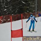 zdjęcie nr 162