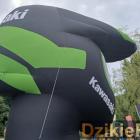 zdjęcie nr 201