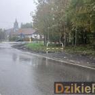 Fotka nr 5 z 8