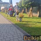 zdjęcie nr 54