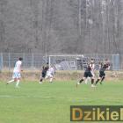 zdjęcie nr 41