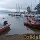 zdjęcie nr 277
