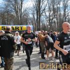 zdjęcie nr 94