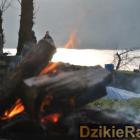 zdjęcie nr 211