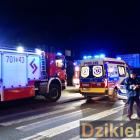 Fot.DzikieRadio