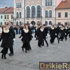 zdjęcie nr 45