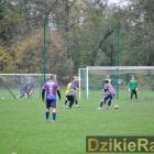 zdjęcie nr 38
