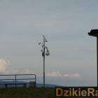 Fotka nr 4 z 7