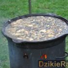 zdjęcie nr 33