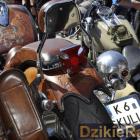 zdjęcie nr 79