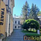 zdjęcie nr 45