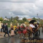 zdjęcie nr 240