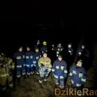 zdjęcie nr 8