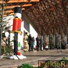 zdjęcie nr 124