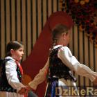 zdjęcie nr 212