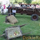 zdjęcie nr 79