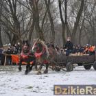 zdjęcie nr 101