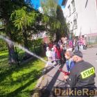 zdjęcie nr 29