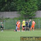 zdjęcie nr 237