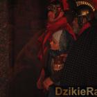 zdjęcie nr 243