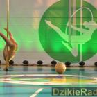 zdjęcie nr 89