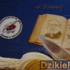 zdjęcie nr 9