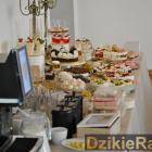 zdjęcie nr 12