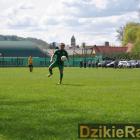 zdjęcie nr 48